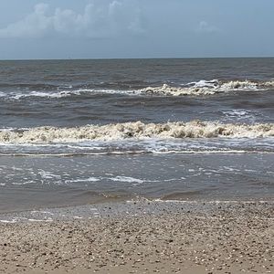 Meet your Posher, Tori